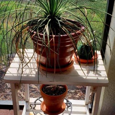 Sale Photo Thumbnail #14