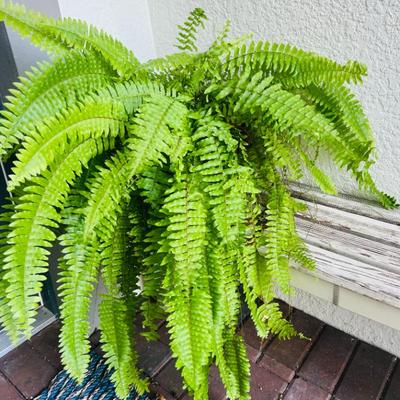 Sale Photo Thumbnail #49