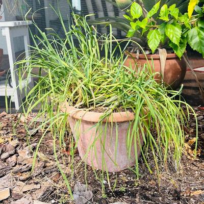 Sale Photo Thumbnail #40