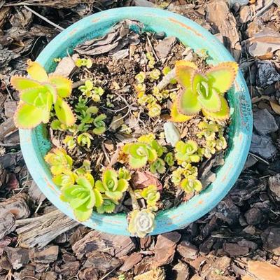 Sale Photo Thumbnail #43