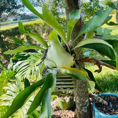 Sale Photo Thumbnail #39