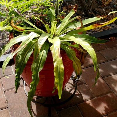 Sale Photo Thumbnail #17