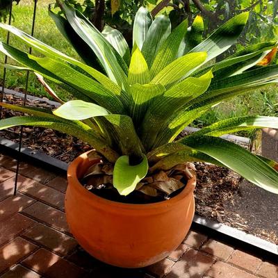 Sale Photo Thumbnail #12