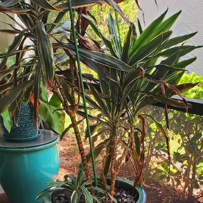 Sale Photo Thumbnail #22