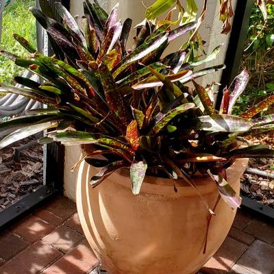 Sale Photo Thumbnail #18