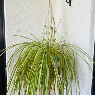 Sale Photo Thumbnail #27