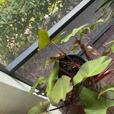 Sale Photo Thumbnail #70