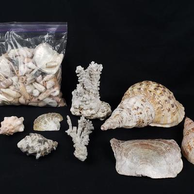 Sale Photo Thumbnail #334