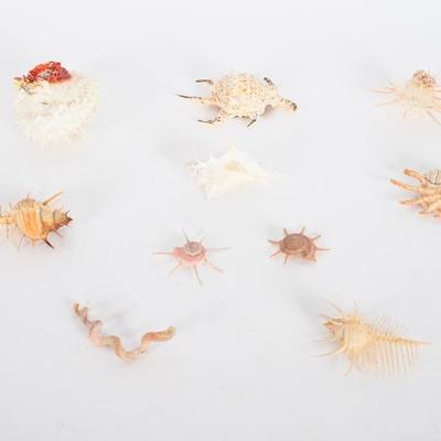 Sale Photo Thumbnail #129