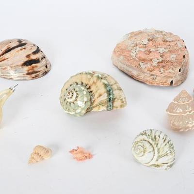 Sale Photo Thumbnail #127