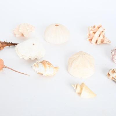 Sale Photo Thumbnail #133