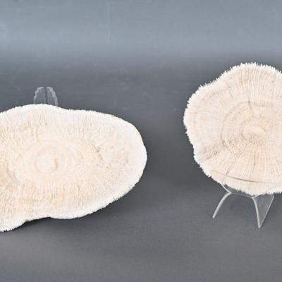 Sale Photo Thumbnail #384