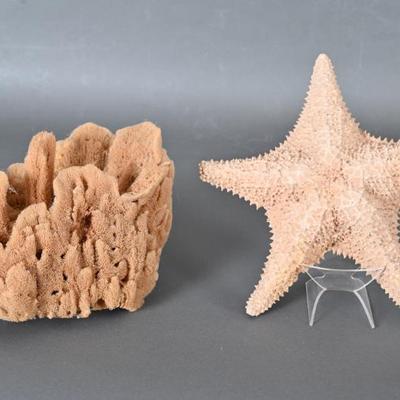 Sale Photo Thumbnail #386