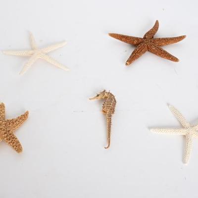 Sale Photo Thumbnail #128