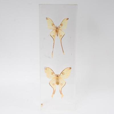 Sale Photo Thumbnail #32