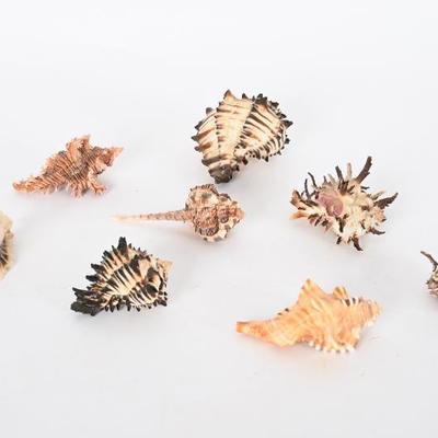 Sale Photo Thumbnail #117