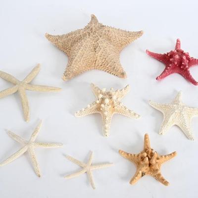 Sale Photo Thumbnail #114