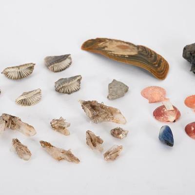 Sale Photo Thumbnail #139