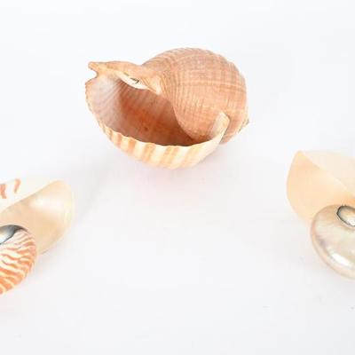 Sale Photo Thumbnail #119