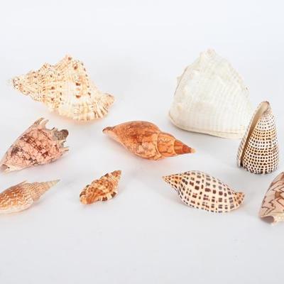 Sale Photo Thumbnail #132