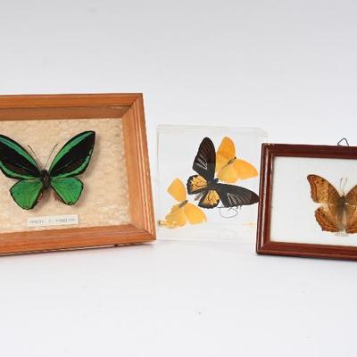 Sale Photo Thumbnail #34