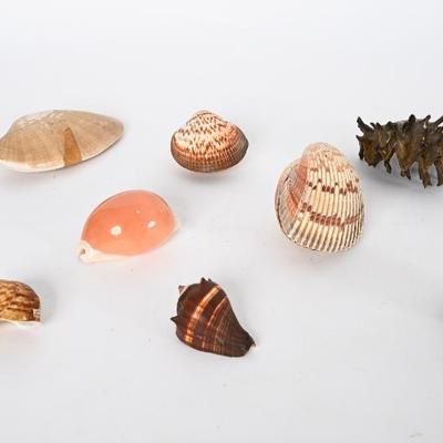 Sale Photo Thumbnail #134