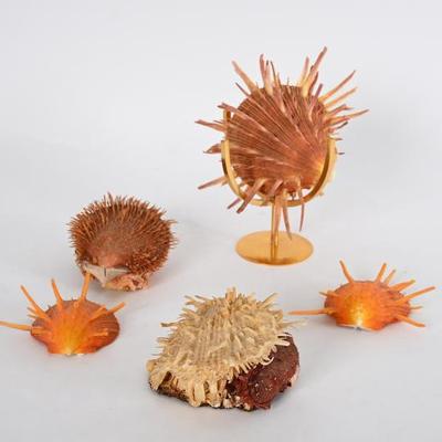 Sale Photo Thumbnail #116