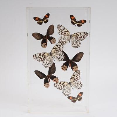 Sale Photo Thumbnail #33