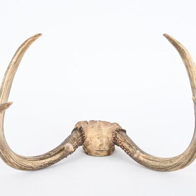 Sale Photo Thumbnail #200