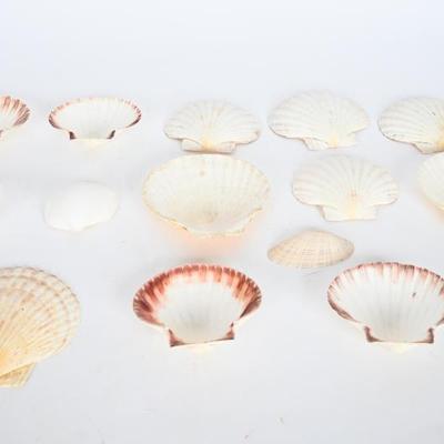 Sale Photo Thumbnail #118