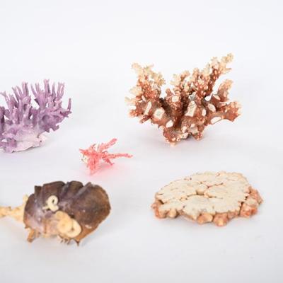 Sale Photo Thumbnail #121