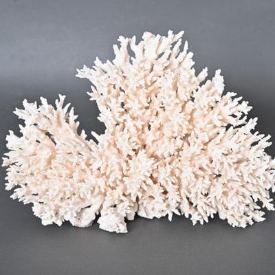 Sale Photo Thumbnail #383