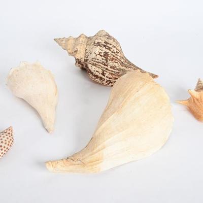 Sale Photo Thumbnail #115