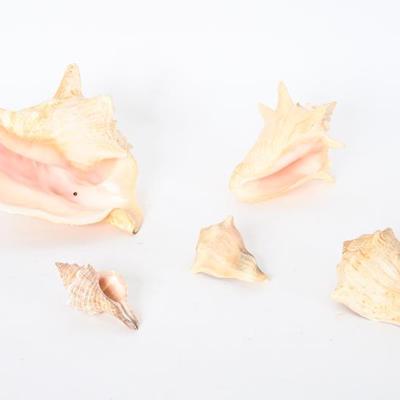 Sale Photo Thumbnail #125