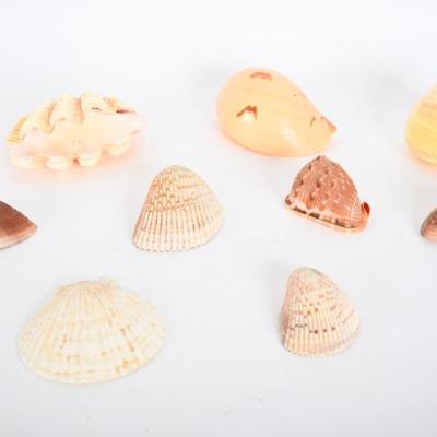 Sale Photo Thumbnail #122