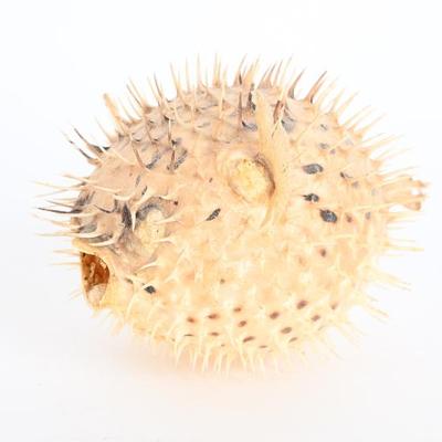 Sale Photo Thumbnail #112