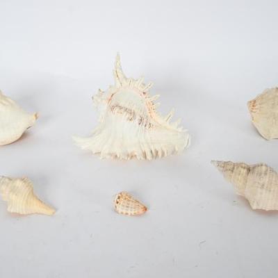 Sale Photo Thumbnail #130