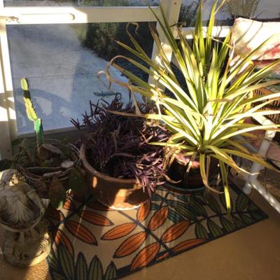 Sale Photo Thumbnail #87