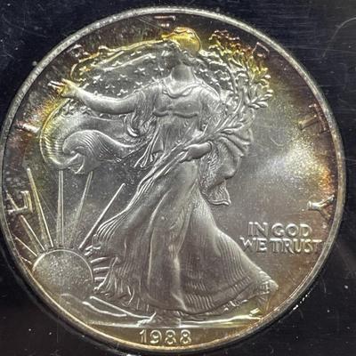 Sale Photo Thumbnail #6