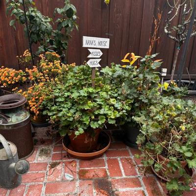 Sale Photo Thumbnail #456