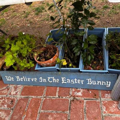 Sale Photo Thumbnail #463