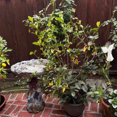 Sale Photo Thumbnail #470