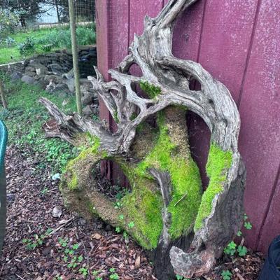 Sale Photo Thumbnail #272