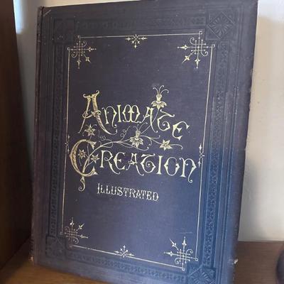 Sale Photo Thumbnail #53