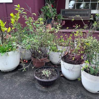 Sale Photo Thumbnail #237