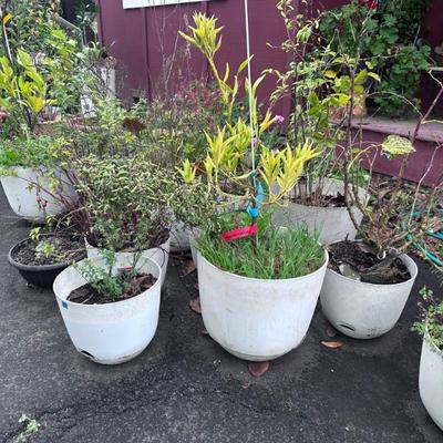 Sale Photo Thumbnail #236