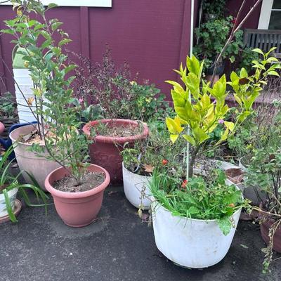 Sale Photo Thumbnail #238