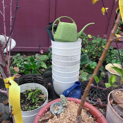 Sale Photo Thumbnail #241