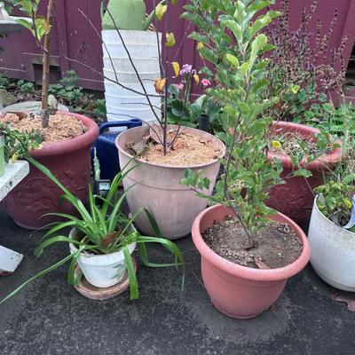 Sale Photo Thumbnail #239