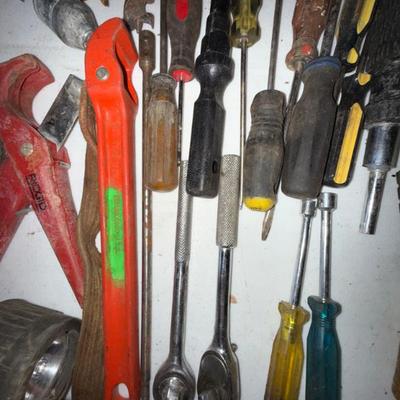 Sale Photo Thumbnail #254